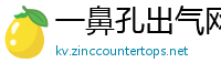 一鼻孔出气网